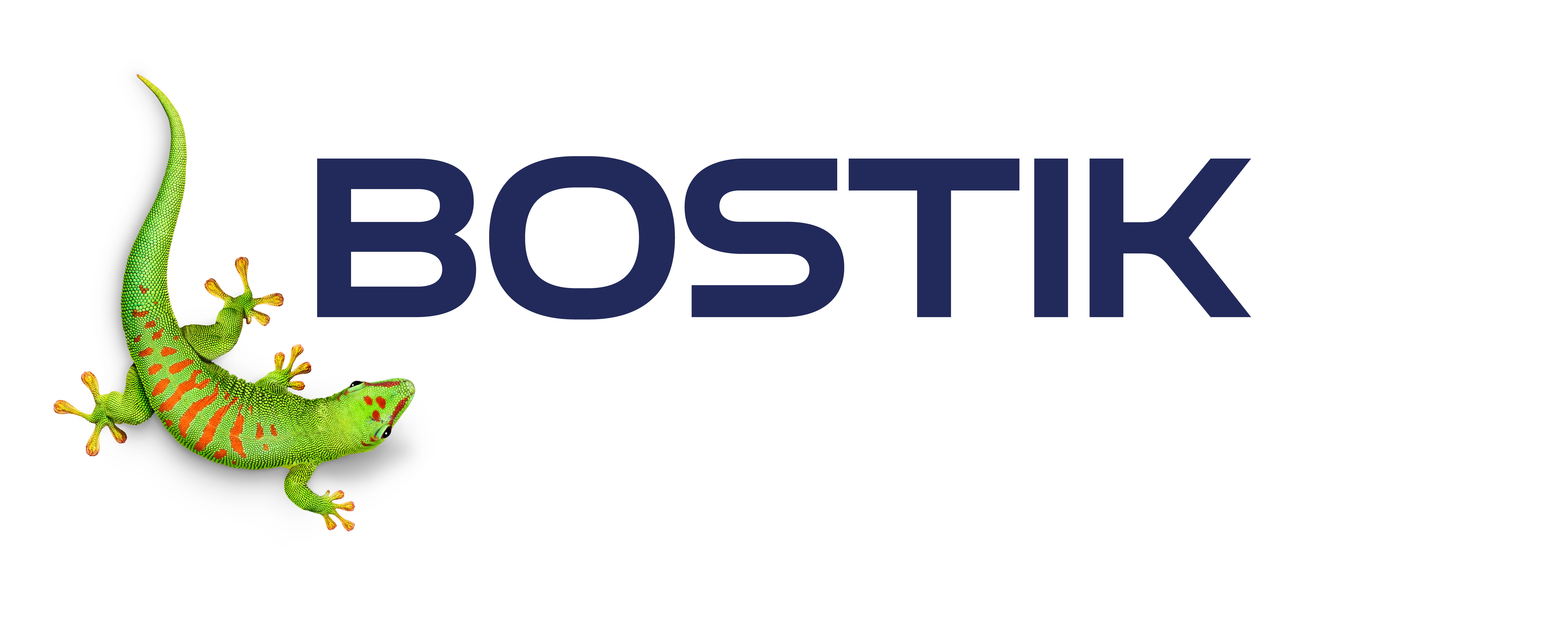 Bostik by TM Tecnomercato Srl - Issuu